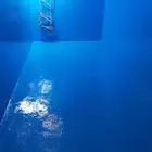 شركة تنظيف