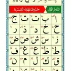 معلم تأسيس ومتابعة للمواد وتحفيظ قرآن حضوري بالمدينة