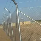 شبوك ونخيل الدمام