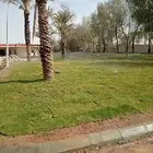 تنسيق حدائق وفرش عشب طبيعي