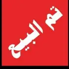 طيور زيبرا