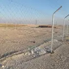 مقول شبوك ونخيل