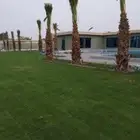 مزرعة الياسمين