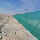 لتوريد النخل العربي والواشنطني والسياجات بجميع انواعها