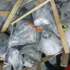 جيرات وكرونات دينا اسوزو وجميع انواع السيارات