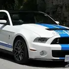 م موستنغ شلبي gt500