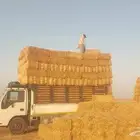 موجودتيبن شدممتاز