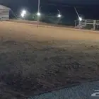 مخيم البستان الزويليات