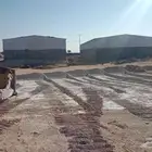 سائق بلدوزر وسايق شيول ورصاصه يحمل رخصه مركبات اشغال عامه