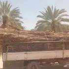 ضواحي الخرج