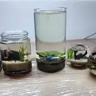 احواض طبيعة لا تحتاج تنضيف