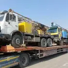 لوبد متواجد في القصيم