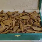 عود مروكي طبيعي محسن (عرض)