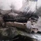 دودة دركسون فورد فويجن