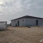 قر ميد بيت مشاب نار تلبيس قر ميد  وري دارجا آلو معلم ب ستا ن