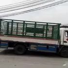 دينا الباحه