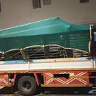 دينا شبك للايجار اليومي