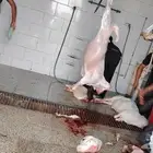 Prices of sacrifices and booking for the day of slaughter is
