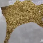 اكل طيور