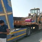 لوبد في جيزان