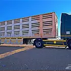 الطول 17 متر