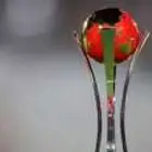 شاهد