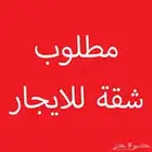 مطلوب شقه للايجار بحدود 10 الاف