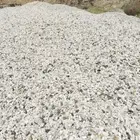 بحص ابيض