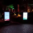 منسق حفلات