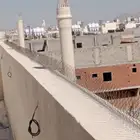 طارد الحمام