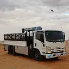 دينا ونش لي نقل الابل والبضائع