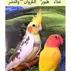 طيور كناري فسفوريه