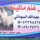 ابو عبد الله حلاق غنم مكينه شغل نظيف .