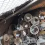 حمام عربي 