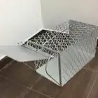 مصيده قطط