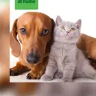 فريق طبي بيطرى