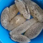 عسل طبيعي 100   من جبال الجنوب ( وحشي )