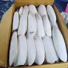 عظم حبار نشار خشب دواجن