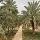 مطلوب مزرعة