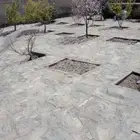 معلم حجار اربرب وجدران