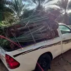 فسائل القصيم جميع الانواع والأحجام