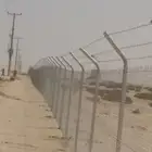 زراعه نخيل