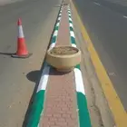 دهانات بندوره تركيب عيون قطط