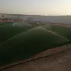 تنسيق حدائق و زراعة ثيل فرنسي