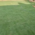 ثيلCL2000حق الخرج