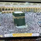 شاشة بلازما عادي