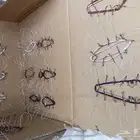 شبك لطرح الصقور