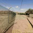 مقاول شبوك بانواعها