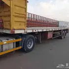 سطحه المطلق قاعده 14