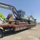 لوبد موجود في المجرده المخوا الليث